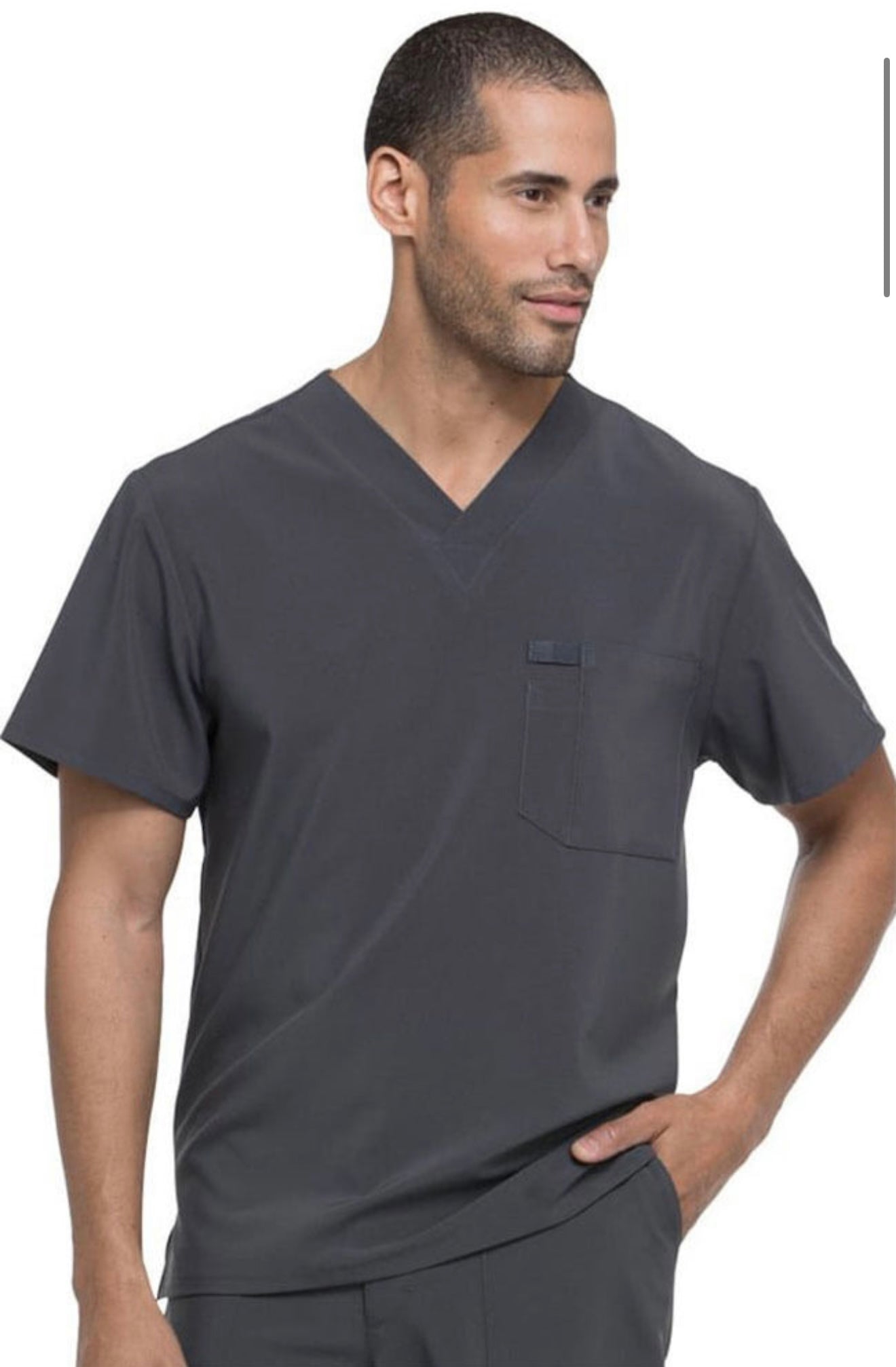 Camiseta Dickies pewter men
